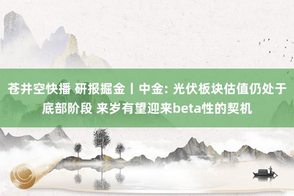 苍井空快播 研报掘金丨中金: 光伏板块估值仍处于底部阶段 来岁有望迎来beta性的契机