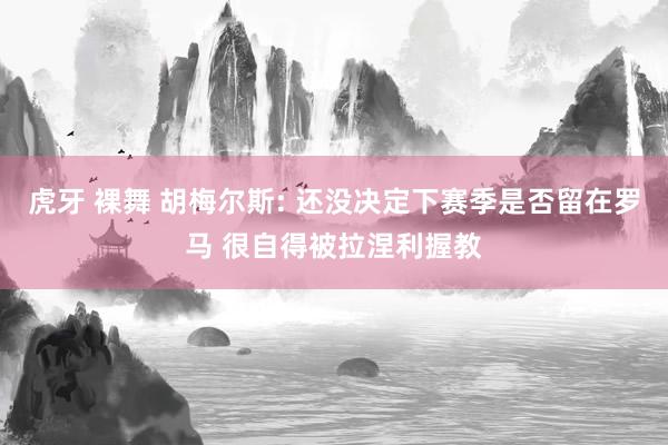 虎牙 裸舞 胡梅尔斯: 还没决定下赛季是否留在罗马 很自得被拉涅利握教
