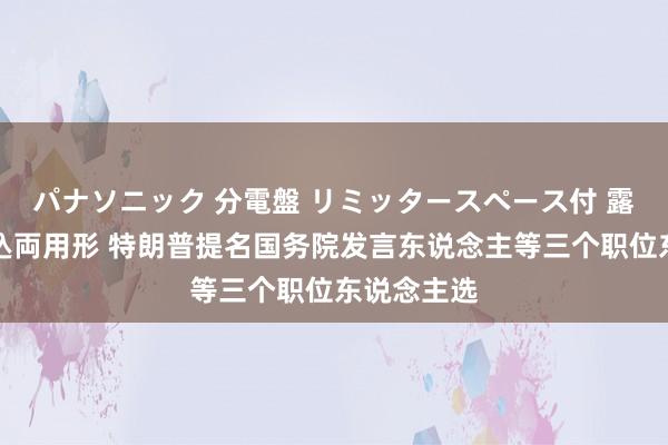 パナソニック 分電盤 リミッタースペース付 露出・半埋込両用形 特朗普提名国务院发言东说念主等三个职位东说念主选