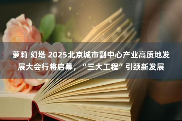 萝莉 幻塔 2025北京城市副中心产业高质地发展大会行将启幕，“三大工程”引颈新发展