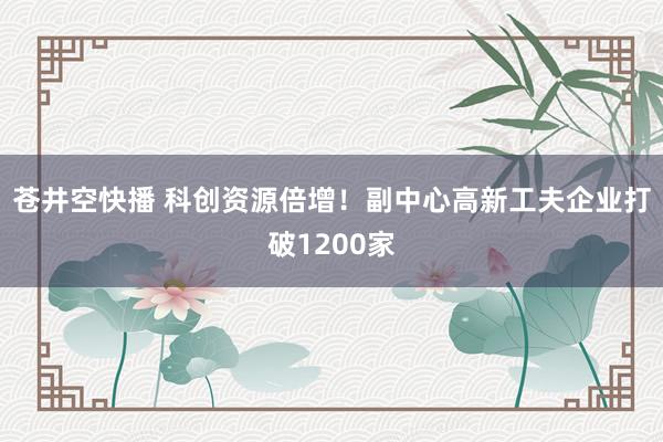 苍井空快播 科创资源倍增！副中心高新工夫企业打破1200家