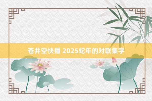 苍井空快播 2025蛇年的对联集字