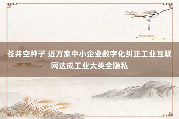 苍井空种子 近万家中小企业数字化纠正工业互联网达成工业大类全隐私