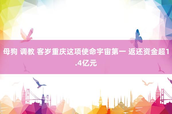 母狗 调教 客岁重庆这项使命宇宙第一 返还资金超1.4亿元