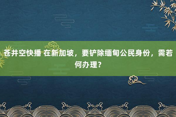 苍井空快播 在新加坡，要铲除缅甸公民身份，需若何办理？