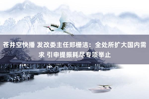 苍井空快播 发改委主任郑栅洁：全处所扩大国内需求 引申提振耗尽专项举止