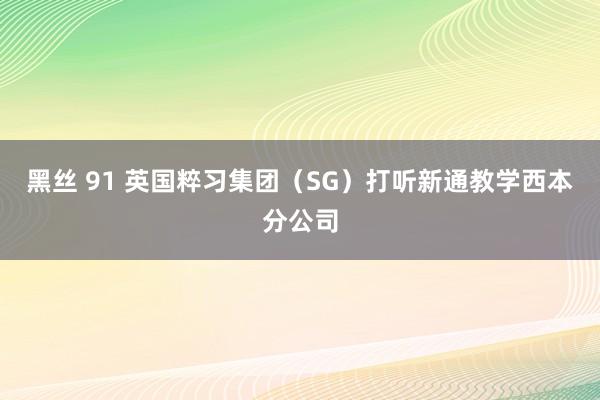黑丝 91 英国粹习集团（SG）打听新通教学西本分公司
