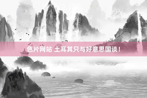 色片网站 土耳其只与好意思国谈！