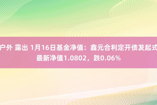 户外 露出 1月16日基金净值：鑫元合利定开债发起式最新净值1.0802，跌0.06%