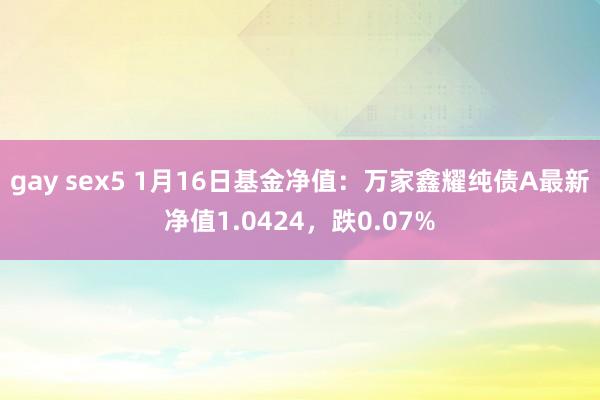 gay sex5 1月16日基金净值：万家鑫耀纯债A最新净值1.0424，跌0.07%