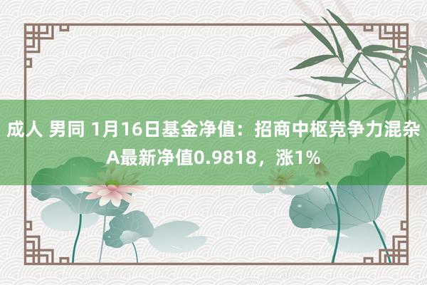 成人 男同 1月16日基金净值：招商中枢竞争力混杂A最新净值0.9818，涨1%