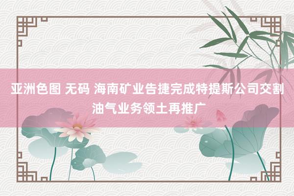 亚洲色图 无码 海南矿业告捷完成特提斯公司交割 油气业务领土再推广