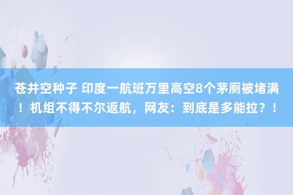 苍井空种子 印度一航班万里高空8个茅厕被堵满！机组不得不尔返航，网友：到底是多能拉？！
