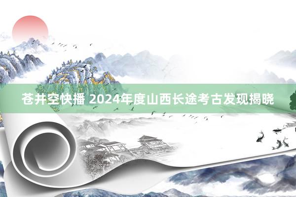 苍井空快播 2024年度山西长途考古发现揭晓