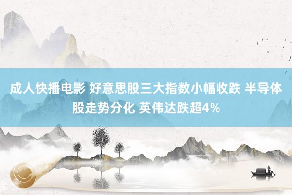 成人快播电影 好意思股三大指数小幅收跌 半导体股走势分化 英伟达跌超4%