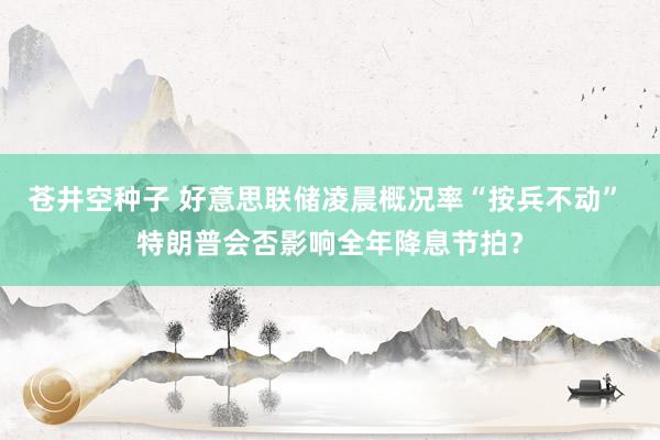 苍井空种子 好意思联储凌晨概况率“按兵不动” 特朗普会否影响全年降息节拍？