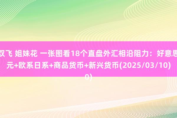 双飞 姐妹花 一张图看18个直盘外汇相沿阻力：好意思元+欧系日系+商品货币+新兴货币(2025/03/10)