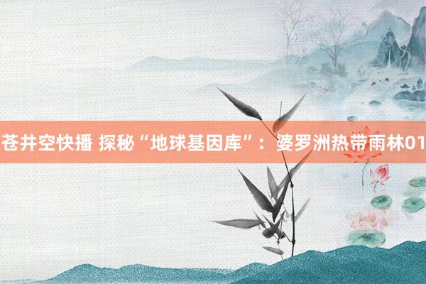 苍井空快播 探秘“地球基因库”：婆罗洲热带雨林01