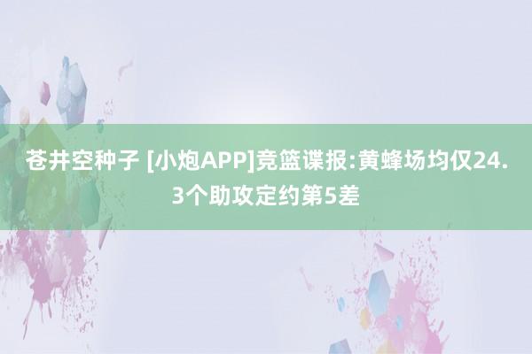 苍井空种子 [小炮APP]竞篮谍报:黄蜂场均仅24.3个助攻定约第5差