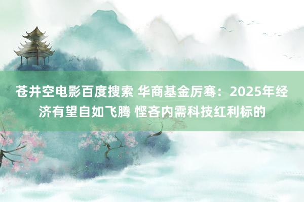 苍井空电影百度搜索 华商基金厉骞：2025年经济有望自如飞腾 悭吝内需科技红利标的