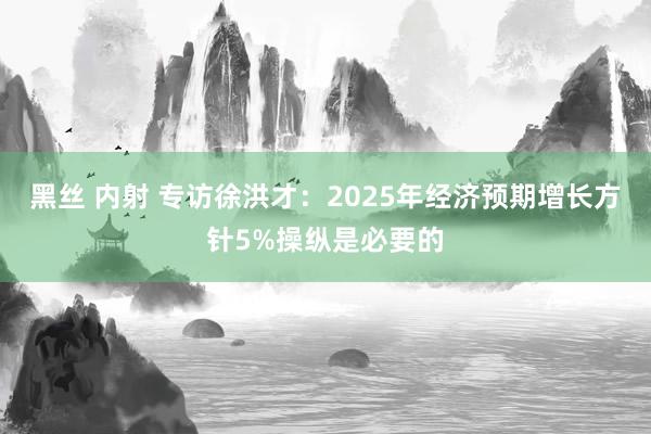 黑丝 内射 专访徐洪才：2025年经济预期增长方针5%操纵是必要的