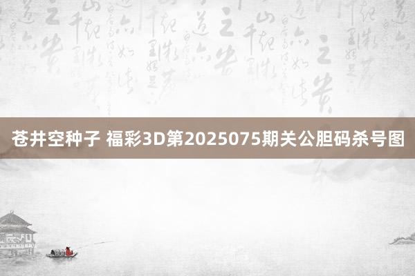 苍井空种子 福彩3D第2025075期关公胆码杀号图