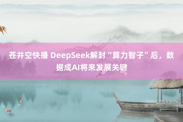 苍井空快播 DeepSeek解封“算力智子”后，数据成AI将来发展关键