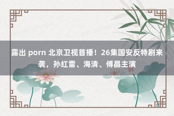 露出 porn 北京卫视首播！26集国安反特剧来袭，孙红雷、海清、傅晶主演