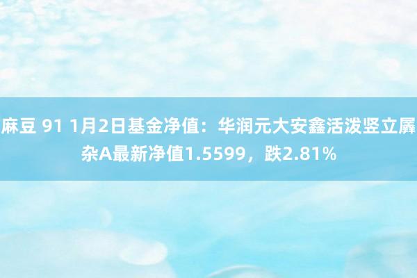 麻豆 91 1月2日基金净值：华润元大安鑫活泼竖立羼杂A最新净值1.5599，跌2.81%