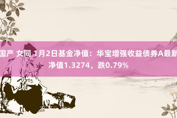国产 女同 1月2日基金净值：华宝增强收益债券A最新净值1.3274，跌0.79%