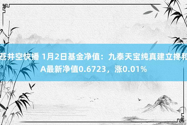 苍井空快播 1月2日基金净值：九泰天宝纯真建立搀和A最新净值0.6723，涨0.01%