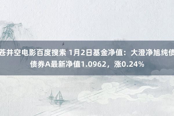 苍井空电影百度搜索 1月2日基金净值：大澄净旭纯债债券A最新净值1.0962，涨0.24%