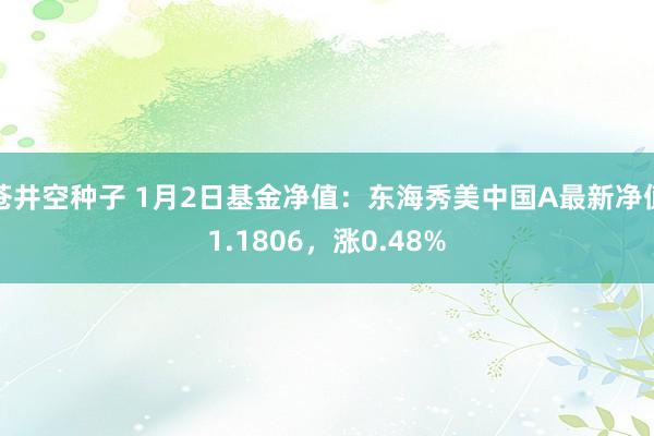 苍井空种子 1月2日基金净值：东海秀美中国A最新净值1.1806，涨0.48%
