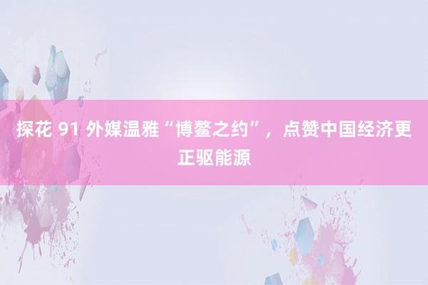 探花 91 外媒温雅“博鳌之约”，点赞中国经济更正驱能源