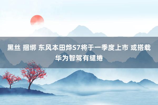 黑丝 捆绑 东风本田烨S7将于一季度上市 或搭载华为智驾有缱绻