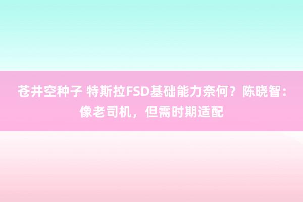 苍井空种子 特斯拉FSD基础能力奈何？陈晓智：像老司机，但需时期适配