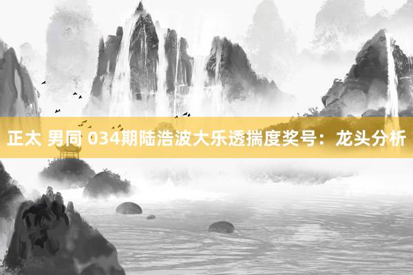 正太 男同 034期陆浩波大乐透揣度奖号：龙头分析