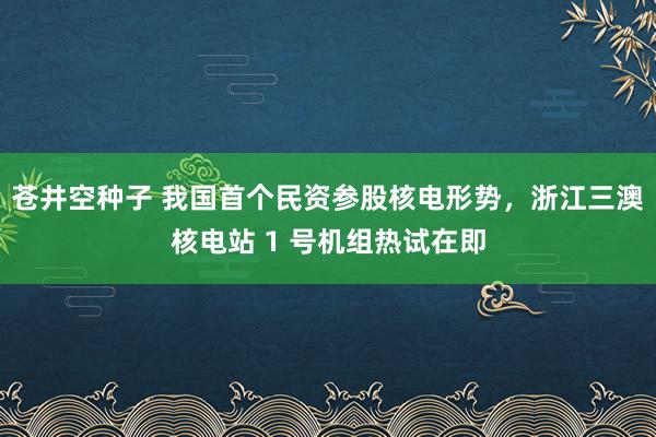 苍井空种子 我国首个民资参股核电形势，浙江三澳核电站 1 号机组热试在即
