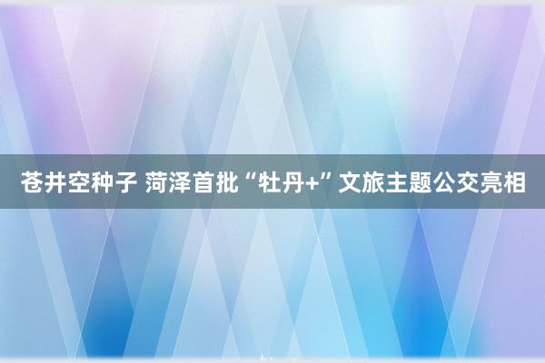 苍井空种子 菏泽首批“牡丹+”文旅主题公交亮相