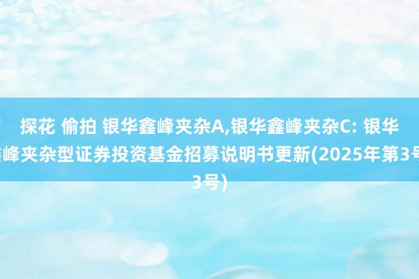 探花 偷拍 银华鑫峰夹杂A,银华鑫峰夹杂C: 银华鑫峰夹杂型证券投资基金招募说明书更新(2025年第3号)