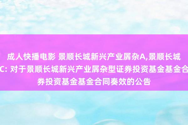 成人快播电影 景顺长城新兴产业羼杂A,景顺长城新兴产业羼杂C: 对于景顺长城新兴产业羼杂型证券投资基金基金合同奏效的公告