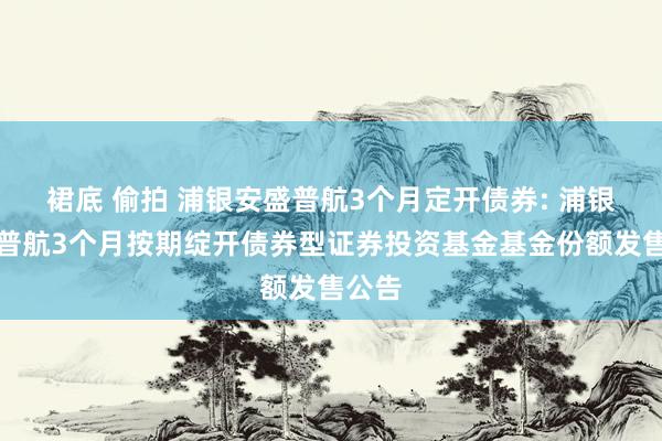 裙底 偷拍 浦银安盛普航3个月定开债券: 浦银安盛普航3个月按期绽开债券型证券投资基金基金份额发售公告