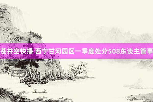 苍井空快播 西宁甘河园区一季度处分508东谈主管事