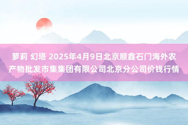 萝莉 幻塔 2025年4月9日北京顺鑫石门海外农产物批发市集集团有限公司北京分公司价钱行情