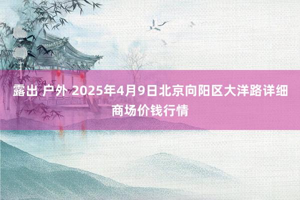 露出 户外 2025年4月9日北京向阳区大洋路详细商场价钱行情