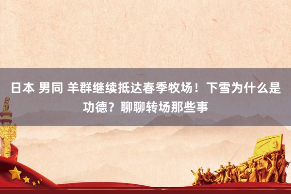 日本 男同 羊群继续抵达春季牧场！下雪为什么是功德？聊聊转场那些事