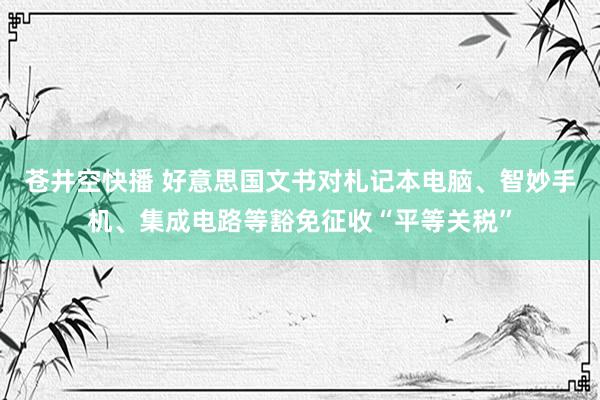 苍井空快播 好意思国文书对札记本电脑、智妙手机、集成电路等豁免征收“平等关税”