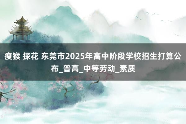 瘦猴 探花 东莞市2025年高中阶段学校招生打算公布_普高_中等劳动_素质