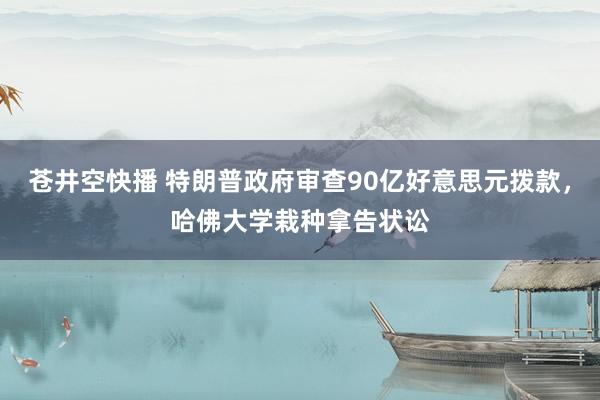 苍井空快播 特朗普政府审查90亿好意思元拨款，哈佛大学栽种拿告状讼