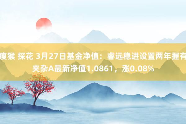 瘦猴 探花 3月27日基金净值：睿远稳进设置两年握有夹杂A最新净值1.0861，涨0.08%